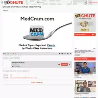 Excess Deaths: Causes (Deep Dive)