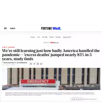 American 'excess deaths': Nearly 85% jump in 3 years | Fortune Well